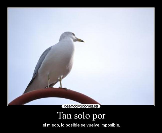 Tan solo por - el miedo, lo posible se vuelve imposible.