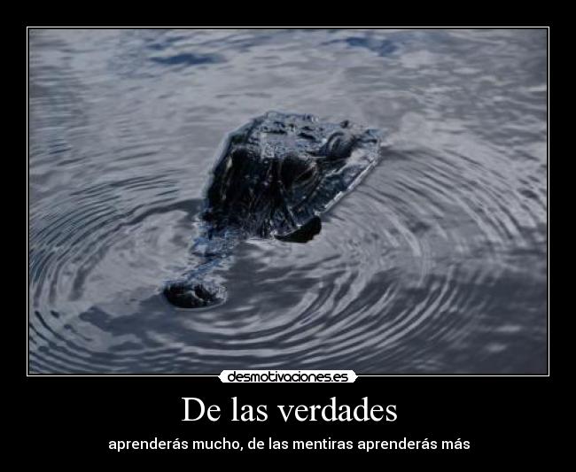 De las verdades - aprenderás mucho, de las mentiras aprenderás más