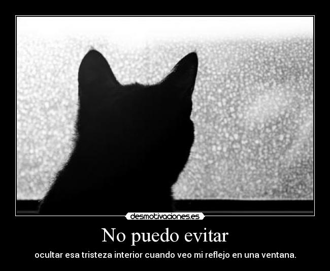 No puedo evitar - ocultar esa tristeza interior cuando veo mi reflejo en una ventana.