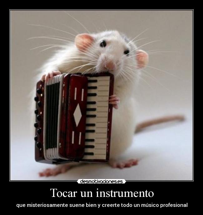 Tocar un instrumento - que misteriosamente suene bien y creerte todo un músico profesional
