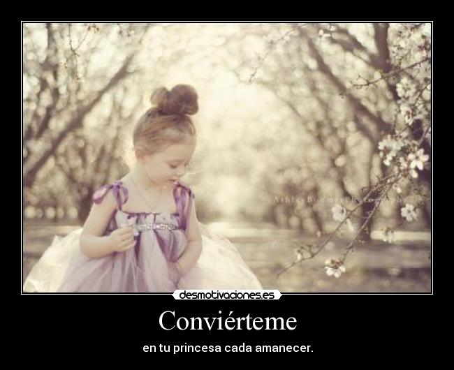 Conviérteme - en tu princesa cada amanecer.