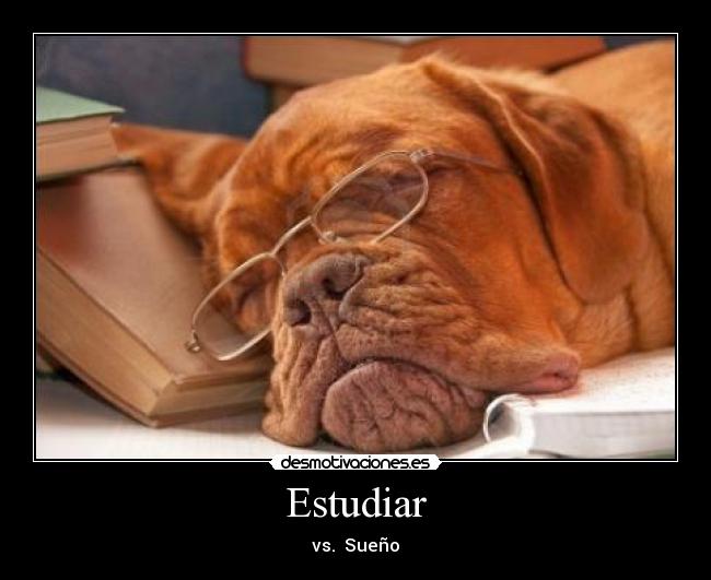 Estudiar - vs. Sueño