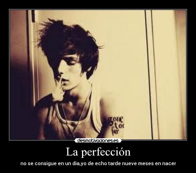 La perfección - 