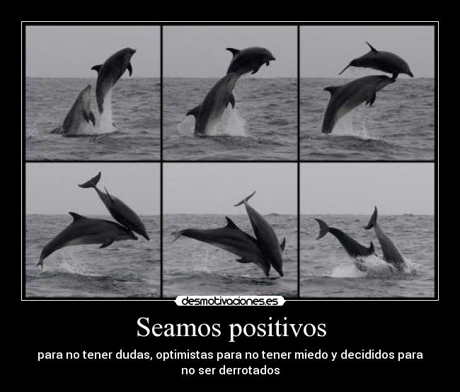 carteles  desmotivaciones