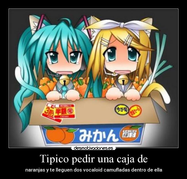 Tipico pedir una caja de - naranjas y te lleguen dos vocaloid camufladas dentro de ella