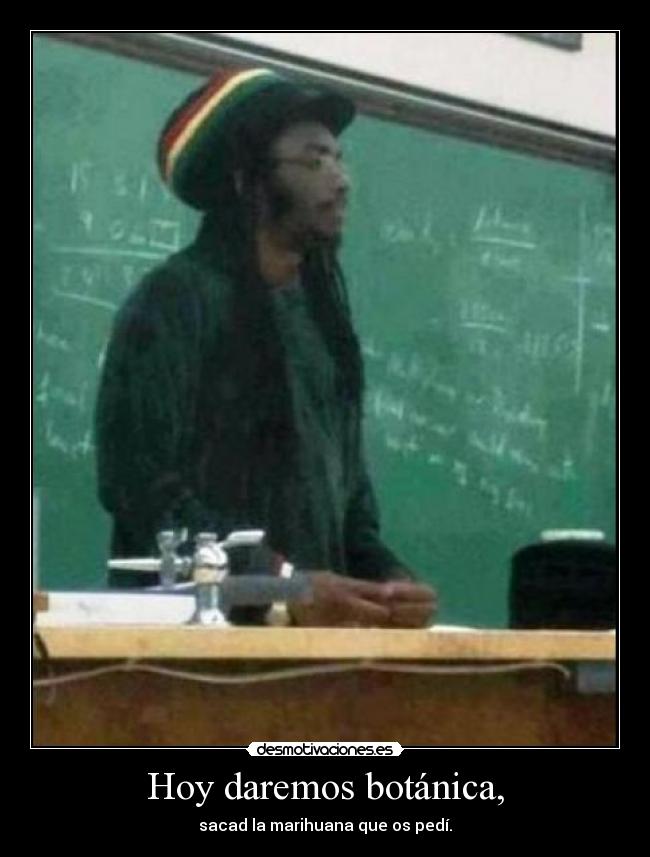 Hoy daremos botánica, - sacad la marihuana que os pedí.
