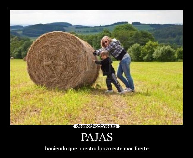 PAJAS - 