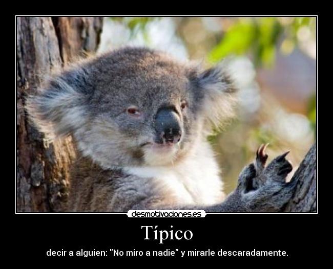 Típico - decir a alguien: No miro a nadie y mirarle descaradamente.