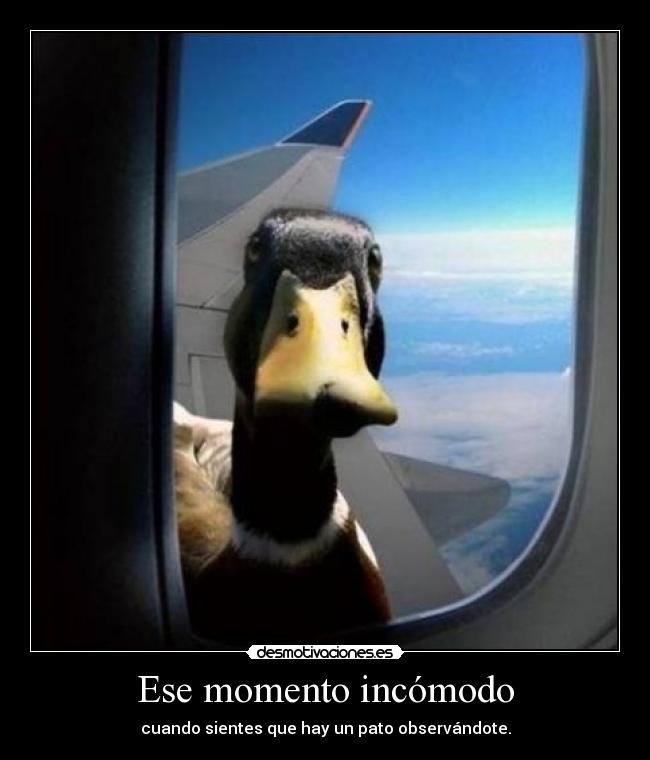 Ese momento incómodo -