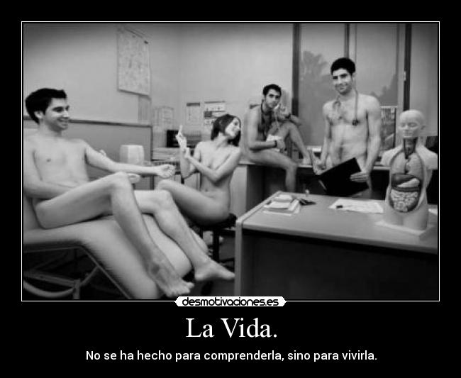 La Vida. - No se ha hecho para comprenderla, sino para vivirla.