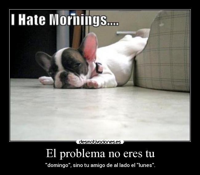 El problema no eres tu -