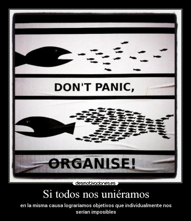 carteles eltwuen resubido porque falto una parte saludos los que lean esto pene desmotivaciones