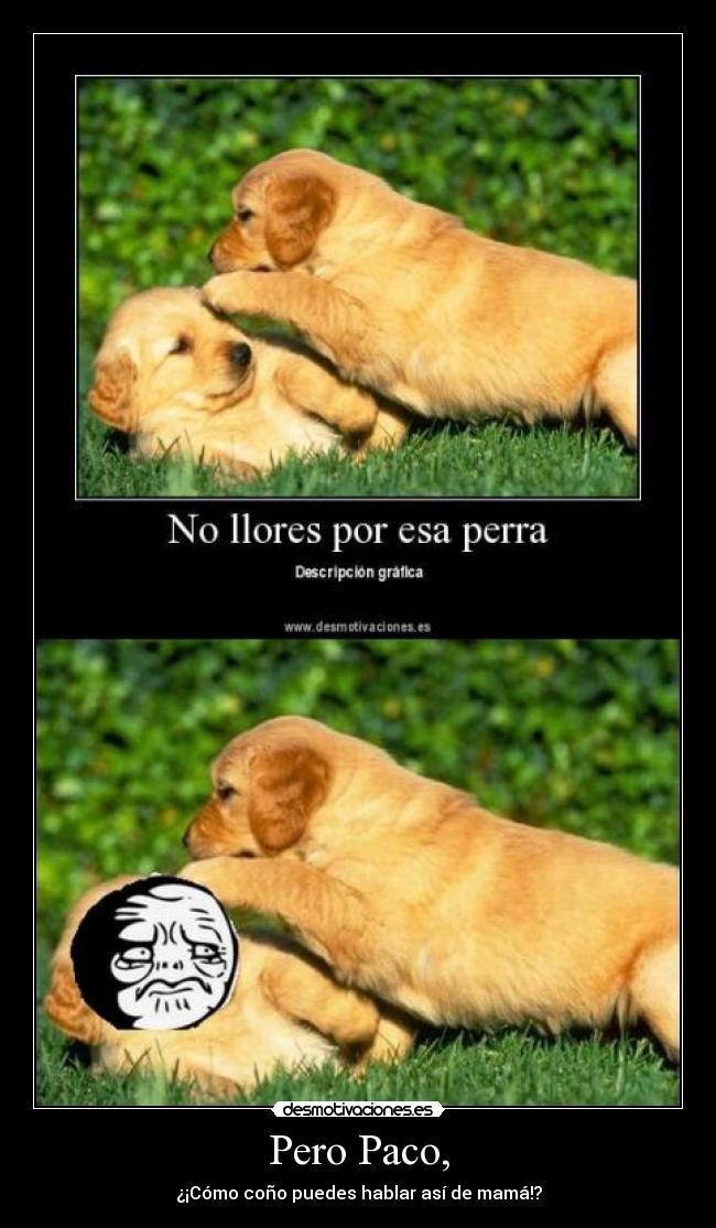 Pero Paco, - ¿¡Cómo coño puedes hablar así de mamá!?