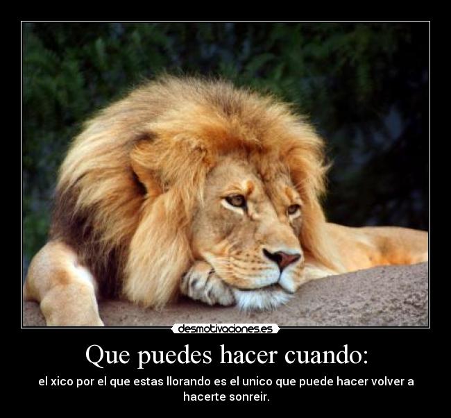 Que puedes hacer cuando: -