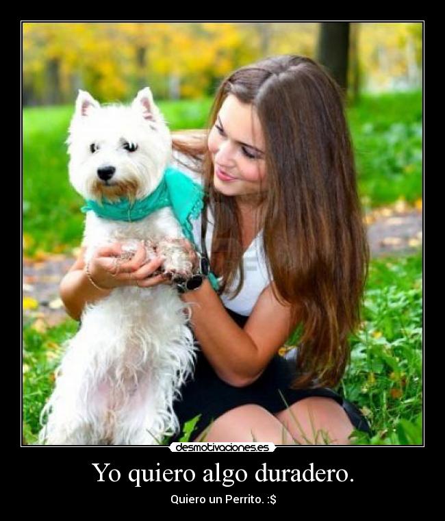Yo quiero algo duradero. - Quiero un Perrito. :$