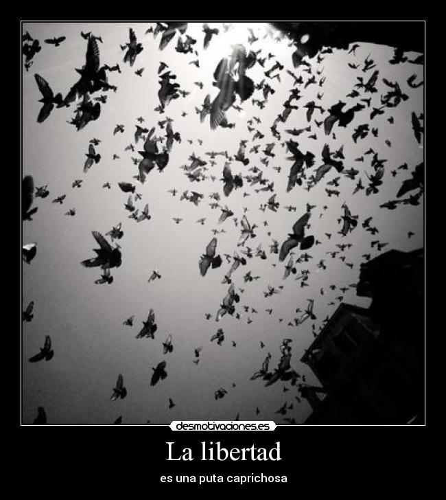 La libertad -