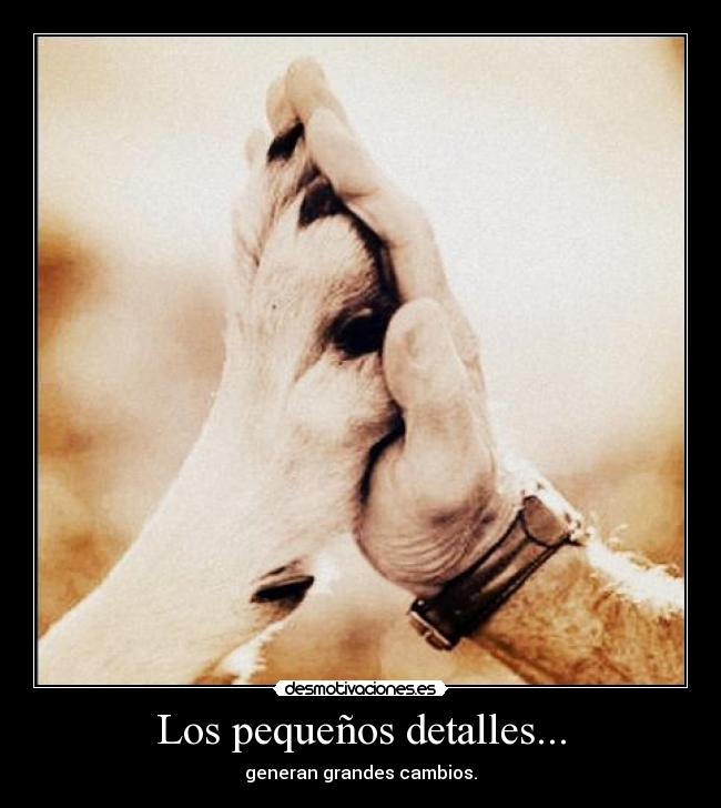 Los pequeños detalles... -