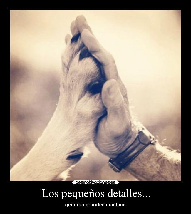 Los pequeños detalles... -
