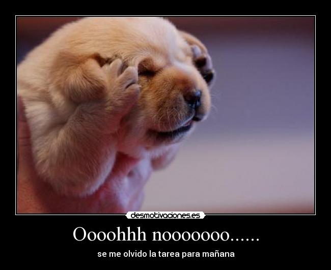 Oooohhh nooooooo...... - se me olvido la tarea para mañana