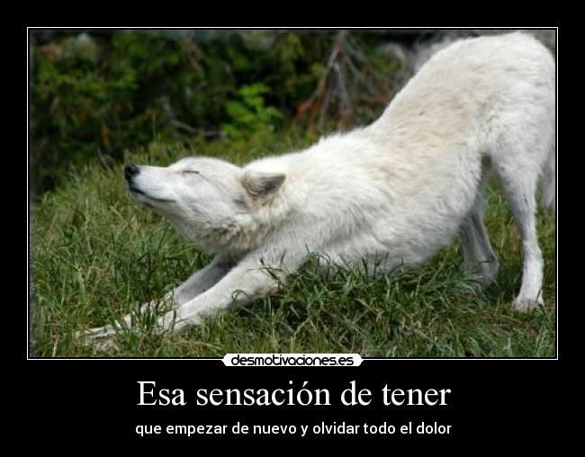 Esa sensación de tener -