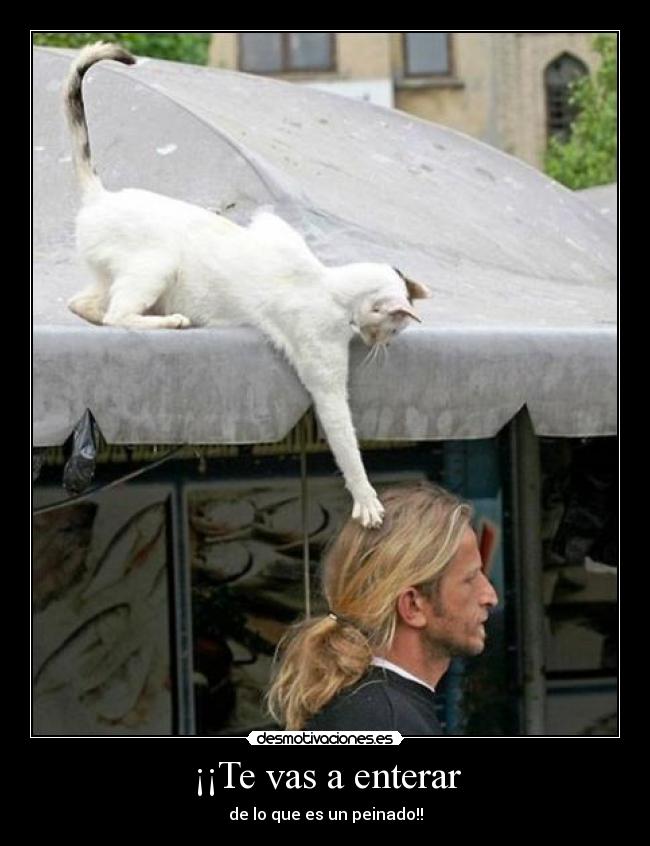 ¡¡Te vas a enterar -