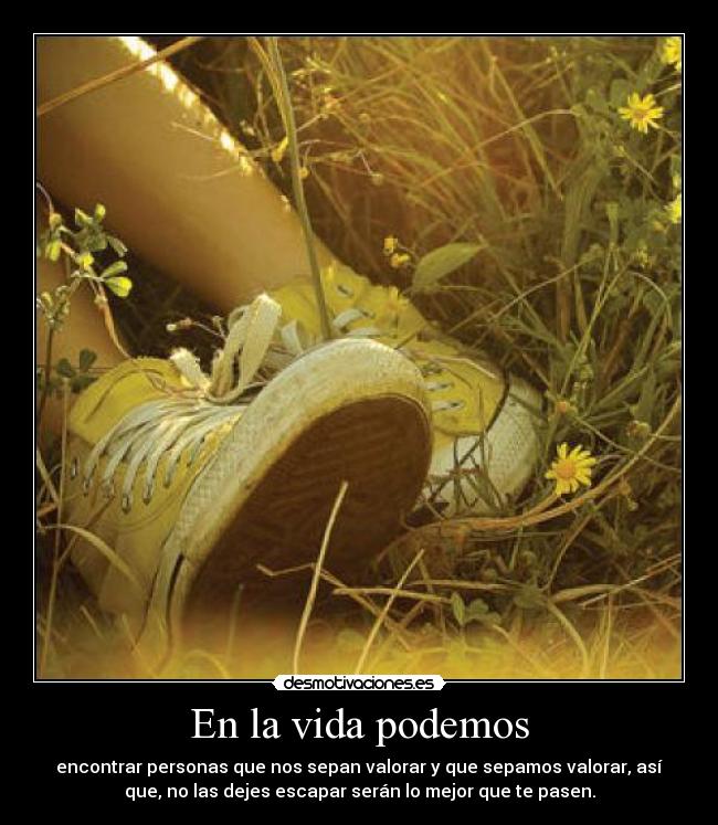 En la vida podemos - encontrar personas que nos sepan valorar y que sepamos valorar, así
que, no las dejes escapar serán lo mejor que te pasen.