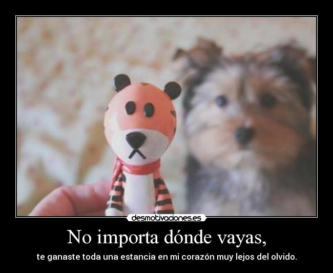 No importa dónde vayas, - te ganaste toda una estancia en mi corazón muy lejos del olvido.