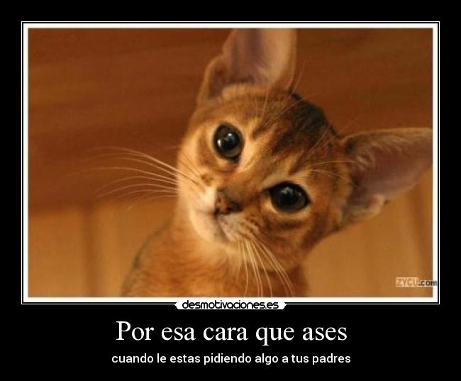Por esa cara que ases - cuando le estas pidiendo algo a tus padres