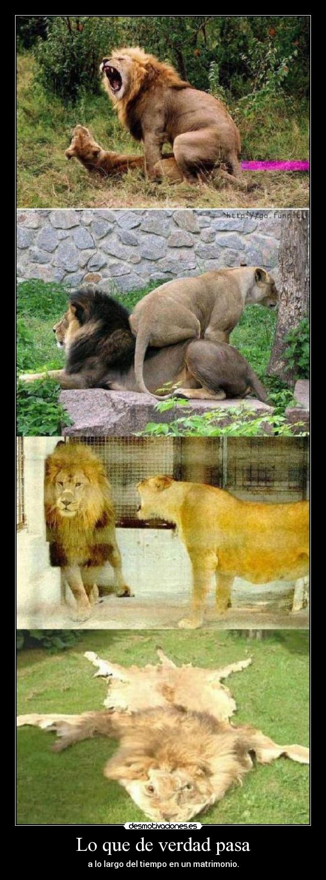 carteles jmar desmotivaciones