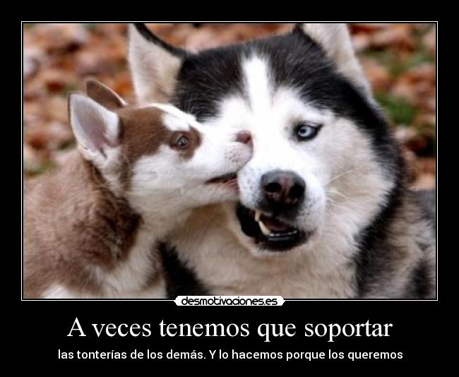 A veces tenemos que soportar -