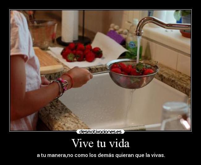 Vive tu vida - 