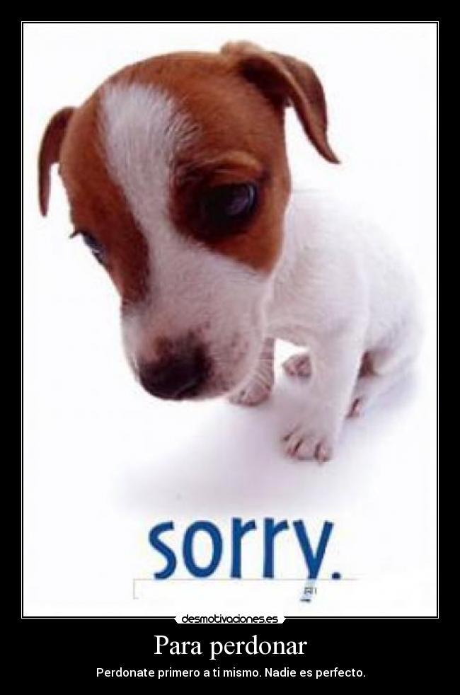 Para perdonar -