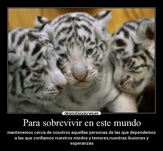 Para sobrevivir en este mundo - mantenemos cerca de nosotros aquellas personas de las que dependemos,
a las que confiamos nuestros miedos y temores,nuestras ilusiones y
esperanzas