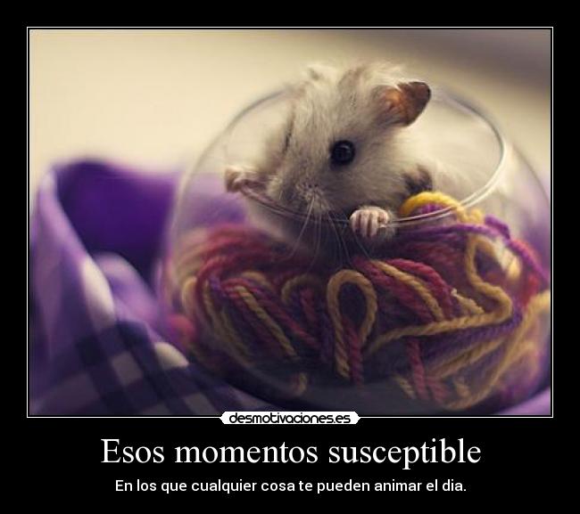 Esos momentos susceptible - En los que cualquier cosa te pueden animar el dia.