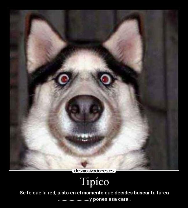 Tipíco - Se te cae la red, justo en el momento que decides buscar tu tarea
...........................y pones esa cara .