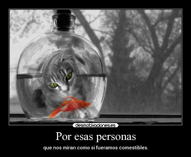 Por esas personas - que nos miran como si fueramos comestibles.