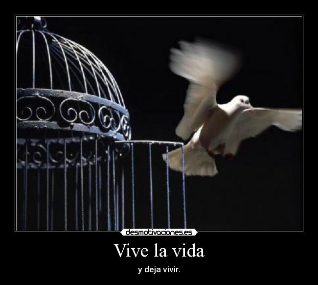 Vive la vida - y deja vivir.