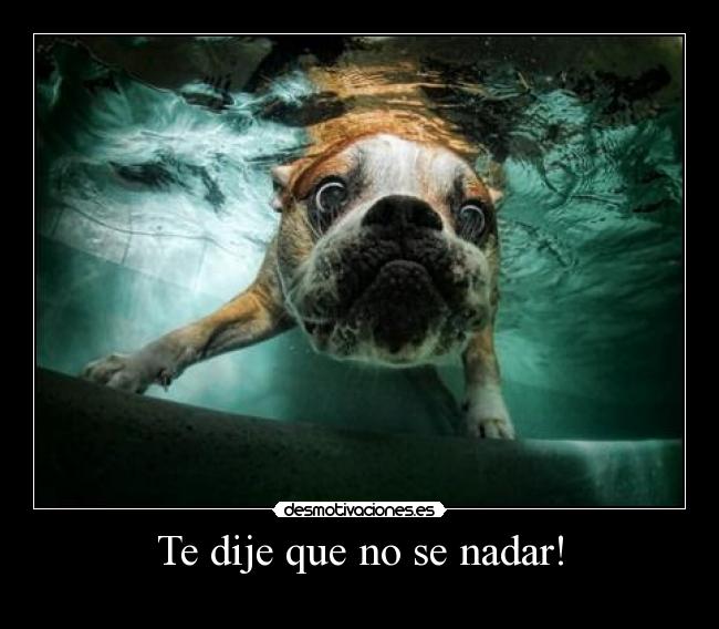 Te dije que no se nadar! - 