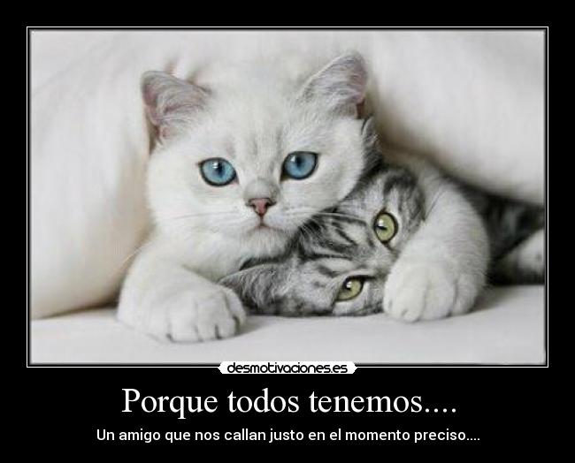 Porque todos tenemos.... - 