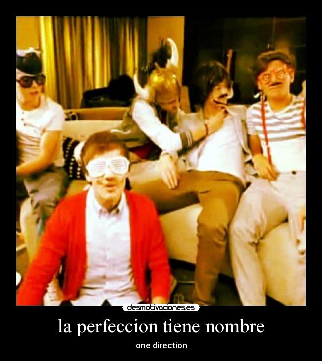 la perfeccion tiene nombre -