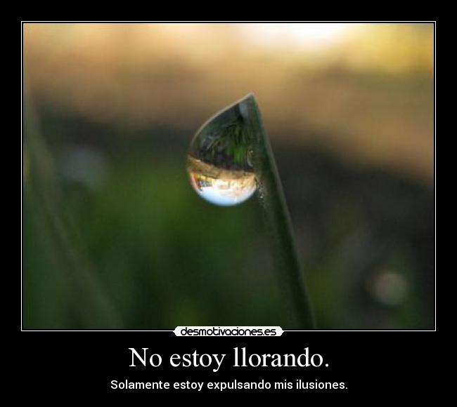 No estoy llorando. -