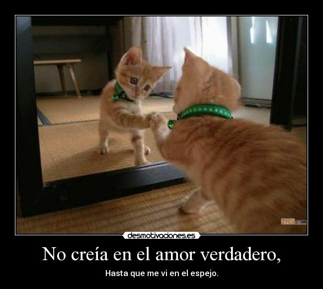 No creía en el amor verdadero, - Hasta que me vi en el espejo.
