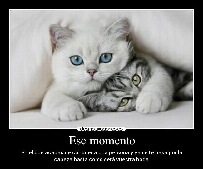 Ese momento - en el que acabas de conocer a una persona y ya se te pasa por la
cabeza hasta como será vuestra boda.