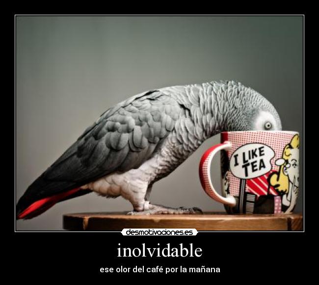 inolvidable - ese olor del café por la mañana