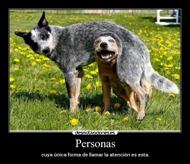 carteles si refiero estar jodiendo desmotivaciones