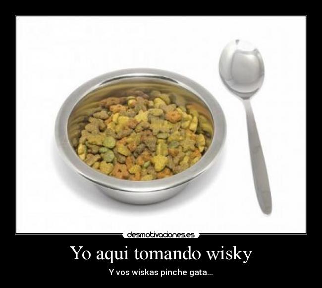 Yo aqui tomando wisky -