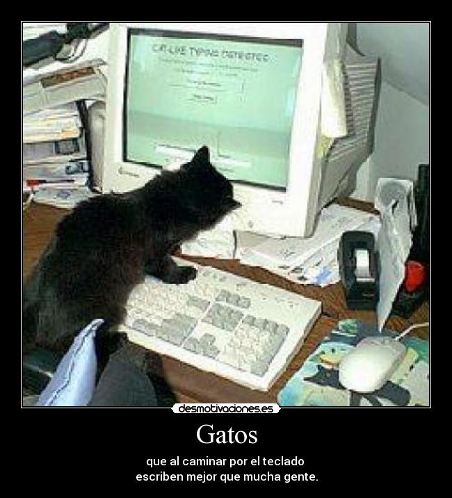 Gatos - que al caminar por el teclado
escriben mejor que mucha gente.