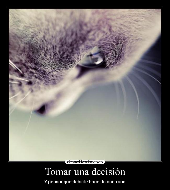 Tomar una decisión -