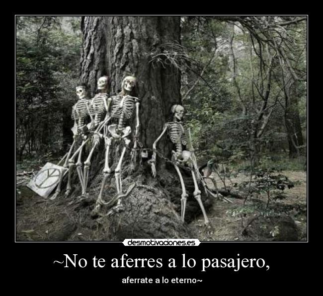 ~No te aferres a lo pasajero, -