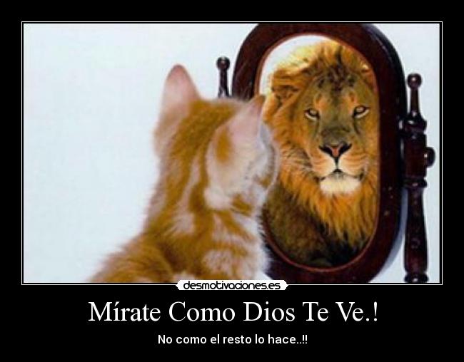 Mírate Como Dios Te Ve.! - No como el resto lo hace..!!